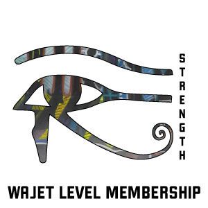 A picture of the wajet level membership logo.